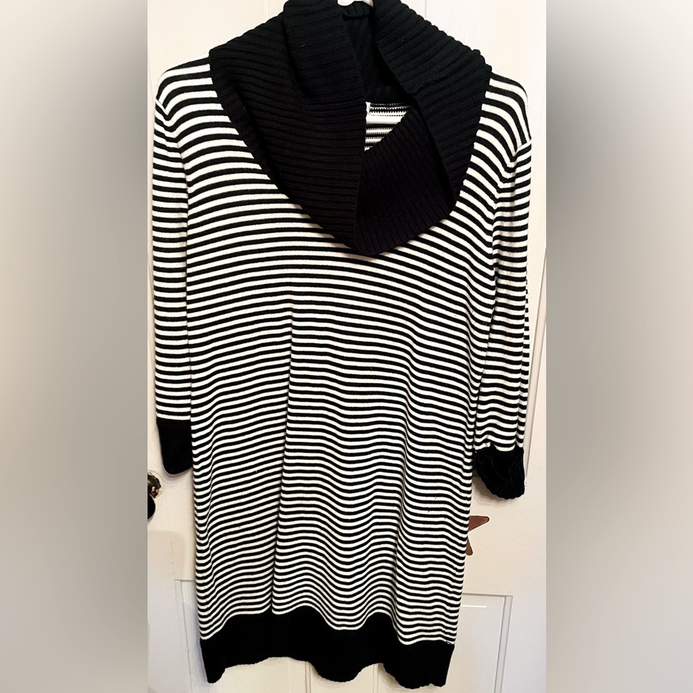 Sandra Darren Sweater Dress worn a few times.